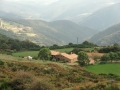 CIMG8672