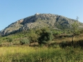 CIMG8418