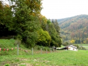 P1010788