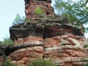 CIMG4957