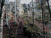 P1020121