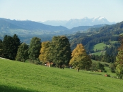 vom Paradies zum Kapf