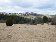 P1050392