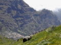 Dscn0038