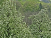 CIMG4687