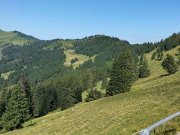 IMG20250705093542
