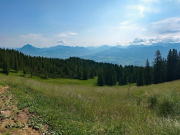 IMG20250705100834