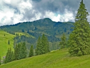 P1060135