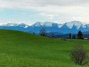 IMG20240302132311