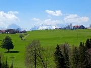 P1020782