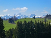 P1020787