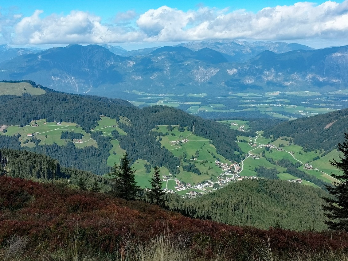 IMG20260922123118
