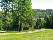 CIMG3003