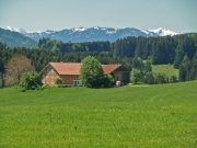 CIMG3009