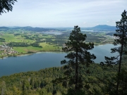P1060812