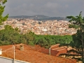 CIMG8716