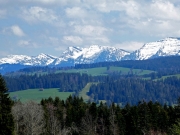 P1020870