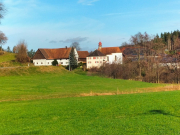 Schlein08