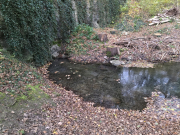 IMG20251028140346