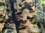 IMG20230809135727