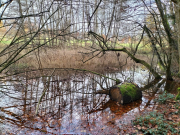 Wasser01