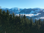 IMG20251202115802