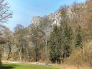 IMG20260308114944