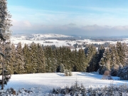 IMG20230129103332