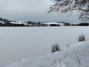 IMG20230129130110