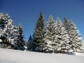 CIMG0517