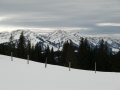 CIMG0603