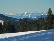 Blick zum Alpstein
