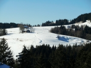 Bullenalpe und Königsalpe
