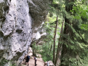 Starzlach08