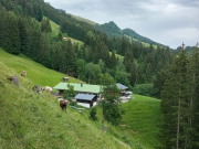 Starzlach09