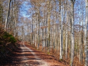 P1020581