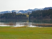 P1020353