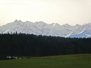 P1020356