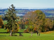 P1020005