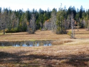 P1020018