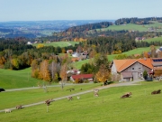 P1020021