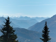 Fr06