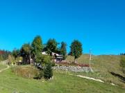 Fr08