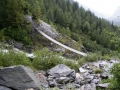 IMGP2769