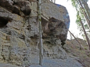 P1020683