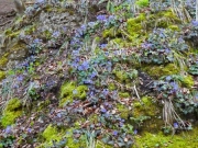 P1020687