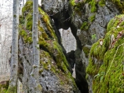 P1020690