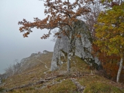 P1040866