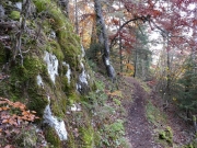 P1050006