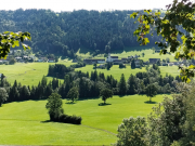 IMG20250904101838